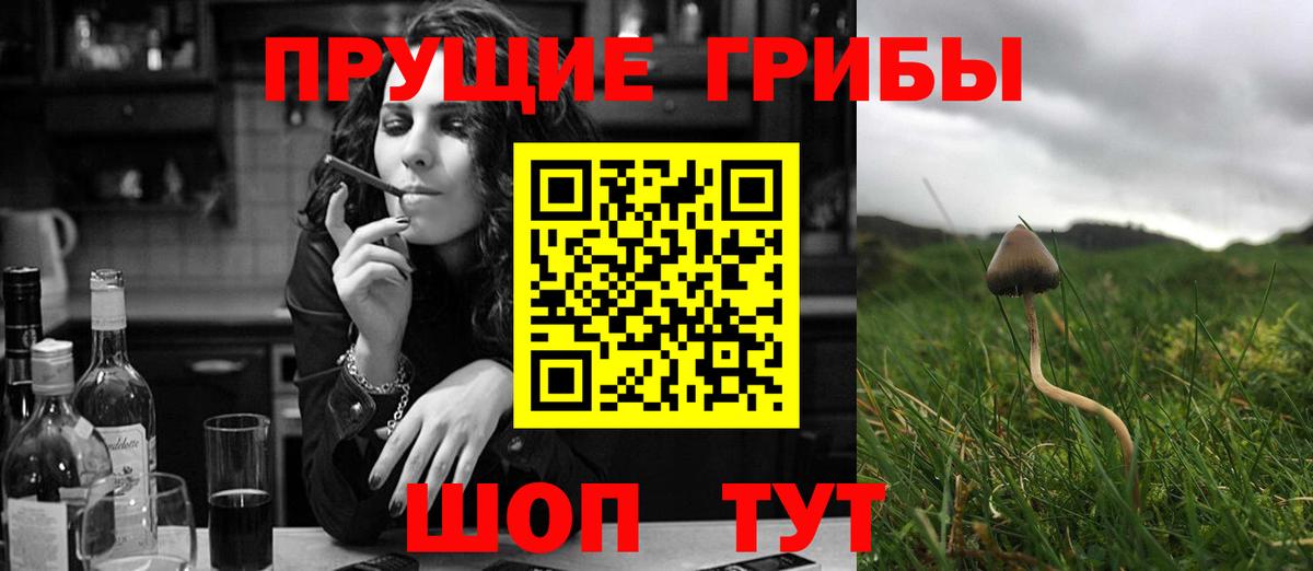 Брянск  Галлюциногенные грибы GOLDEN TEACHER  Вход с VPN 